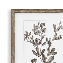Load image into Gallery viewer, RUSTIC FOLIAGE STUDY, SET OF 9
