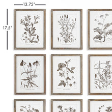 Load image into Gallery viewer, RUSTIC FOLIAGE STUDY, SET OF 9
