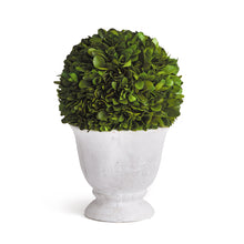 Load image into Gallery viewer, BOXWOOD BALL TOPIARY IN POT SMALL
