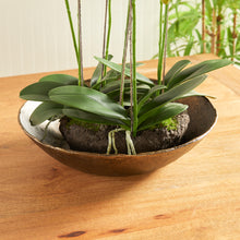 Load image into Gallery viewer, MYRON DECORATIVE BOWL
