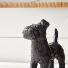Load image into Gallery viewer, LITTLE PACK, SET OF 3
