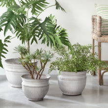 Load image into Gallery viewer, CAMELIA POTS, SET OF 3
