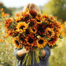 Load image into Gallery viewer, Autumn Beauty Sunflower – 25 Seeds
