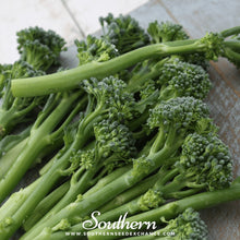 Load image into Gallery viewer, Calabrese Green Broccoli – 100 Seeds
