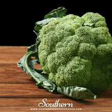Load image into Gallery viewer, Calabrese Green Broccoli – 100 Seeds
