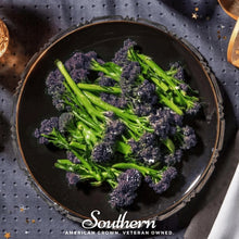 Load image into Gallery viewer, Purple Sprouting Broccoli – 100 Seeds
