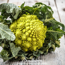 Load image into Gallery viewer, Romanesco Broccoli – 100 Seeds

