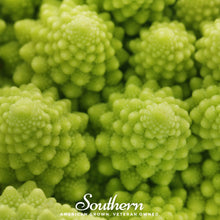 Load image into Gallery viewer, Romanesco Broccoli – 100 Seeds
