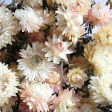 Load image into Gallery viewer, Dried Strawflower: Assorted 4oz Bunch
