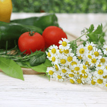 Load image into Gallery viewer, Feverfew – 100 Seeds
