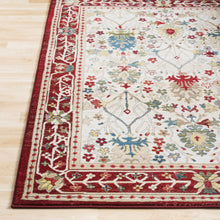 Load image into Gallery viewer, Neola White/Red Damask Area Rug
