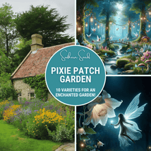 Load image into Gallery viewer, Pixie Patch Seed Collection – 10 Enchanted Varieties
