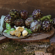 Load image into Gallery viewer, Purple Romagna Artichoke – 25 Seeds
