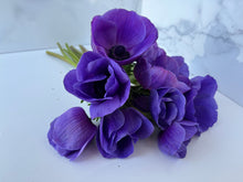 Load image into Gallery viewer, Anemone Corms-Blue
