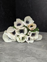 Load image into Gallery viewer, Anemone Corms-Panda
