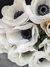 Load image into Gallery viewer, Anemone Corms-Panda
