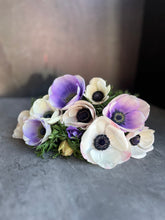 Load image into Gallery viewer, Anemone Corms-Pastel
