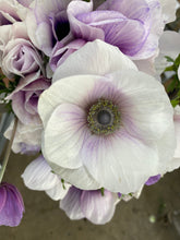 Load image into Gallery viewer, Anemone Corms-Pastel
