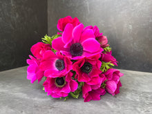 Load image into Gallery viewer, Anemone Corms-Pink
