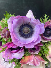 Load image into Gallery viewer, Anemone Corms-Rarity
