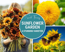 Load image into Gallery viewer, Sunflower Seed Collection – 6 Varieties
