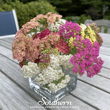 Load image into Gallery viewer, Summer Berries Yarrow Mix – 50 Seeds
