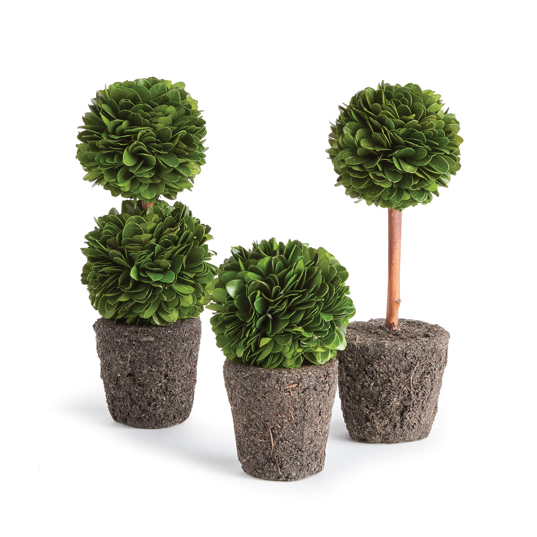 Boxwood Mini Topiary Drop-Ins, Set Of 3