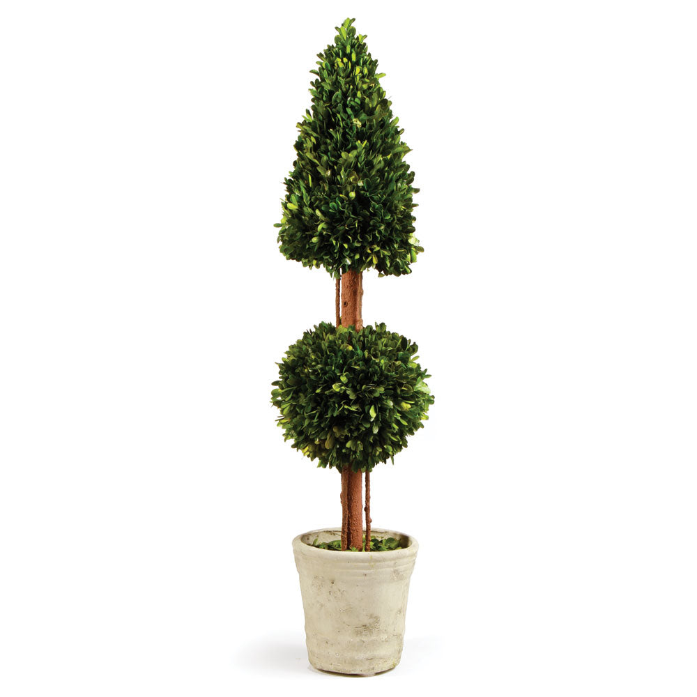 Boxwood Cone & Ball Topiary 36