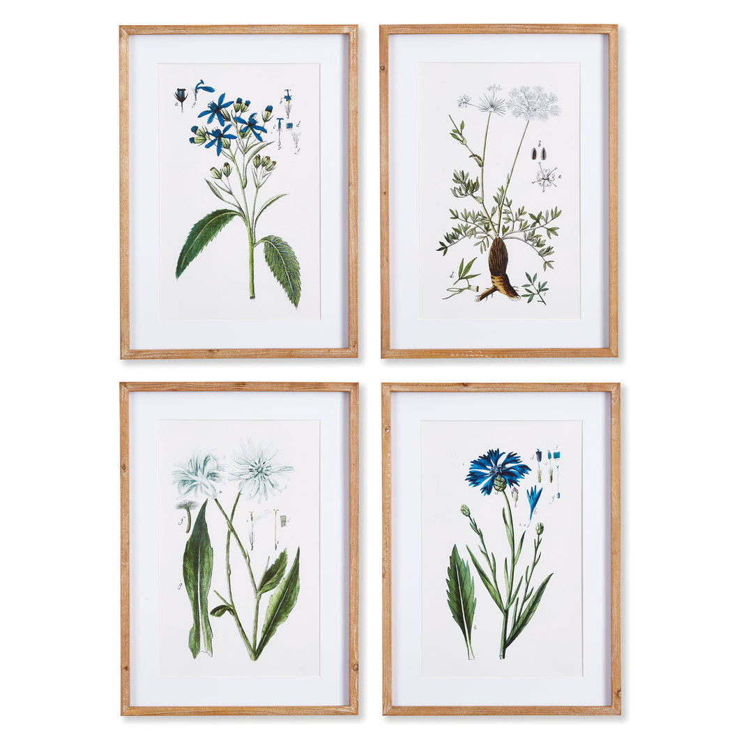 Mountain Botanical Prints, Set Of 4