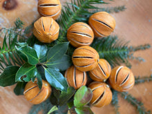 Load image into Gallery viewer, Dried whole slit oranges - pomanders
