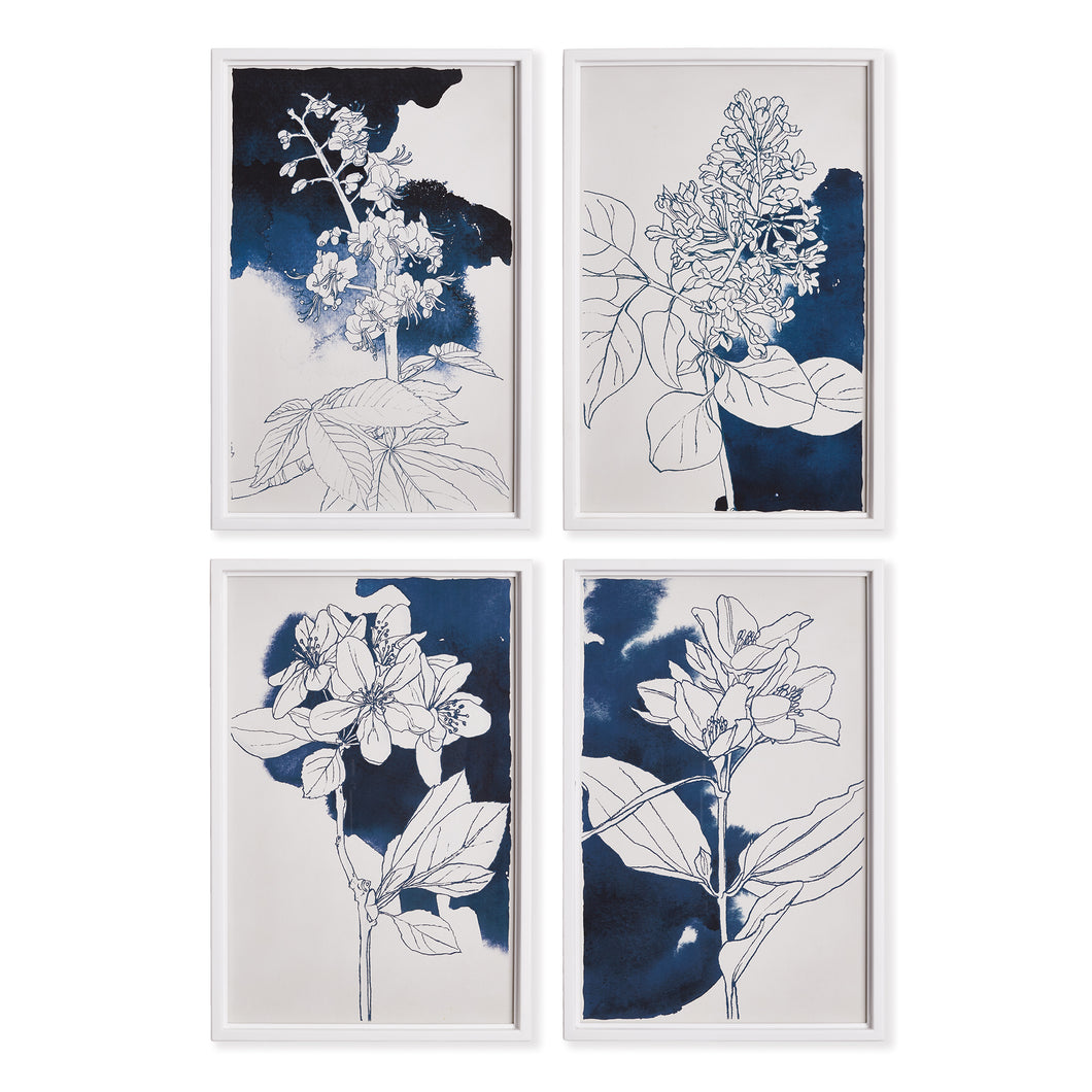 Studio Floral Sketches, Set Of 4
