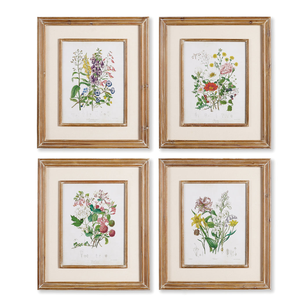 Garden Botanical Prints, Set Of 4