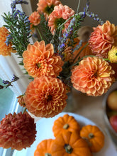 Load image into Gallery viewer, Fresh Dahlias - beautiful fall friends , birthday gift and any day gift
