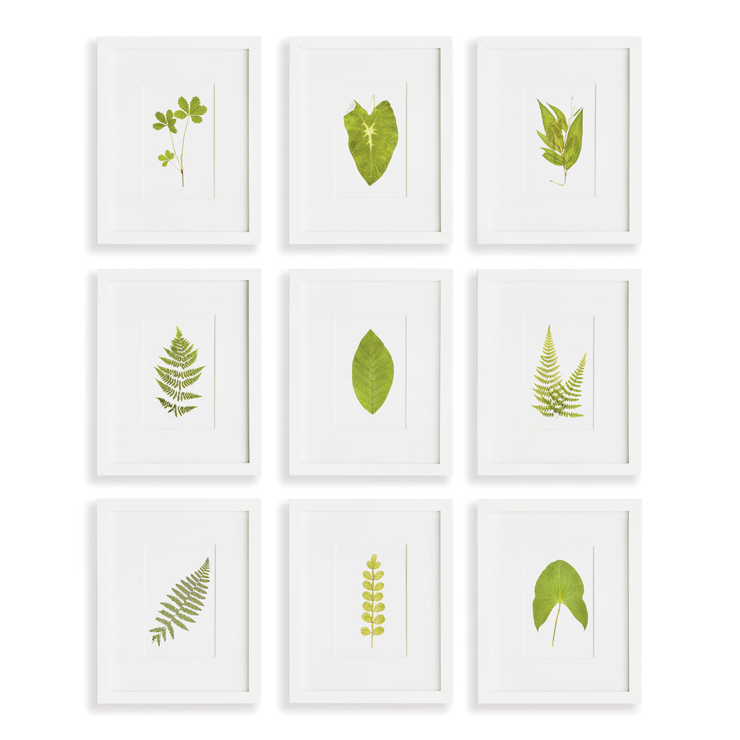 Green Leaf Petite Prints St/9
