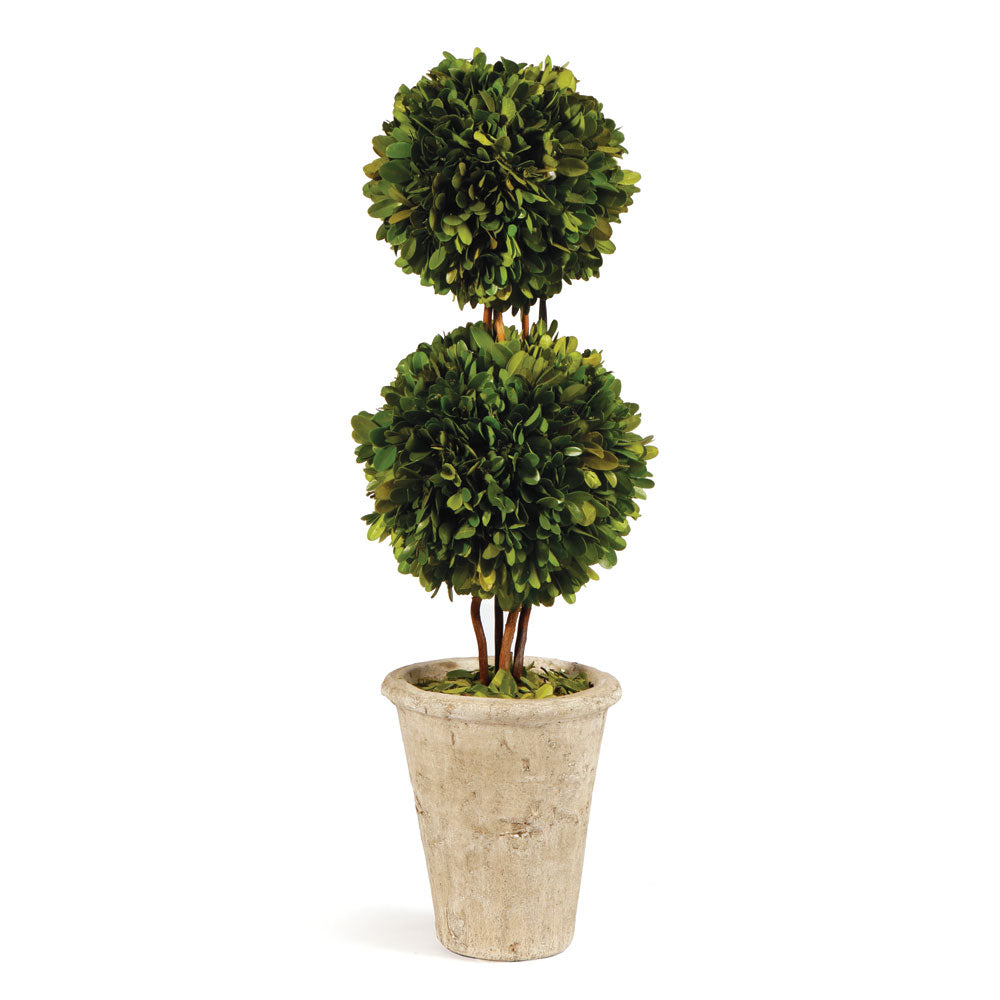 Boxwood Double Sphere Topiary 20