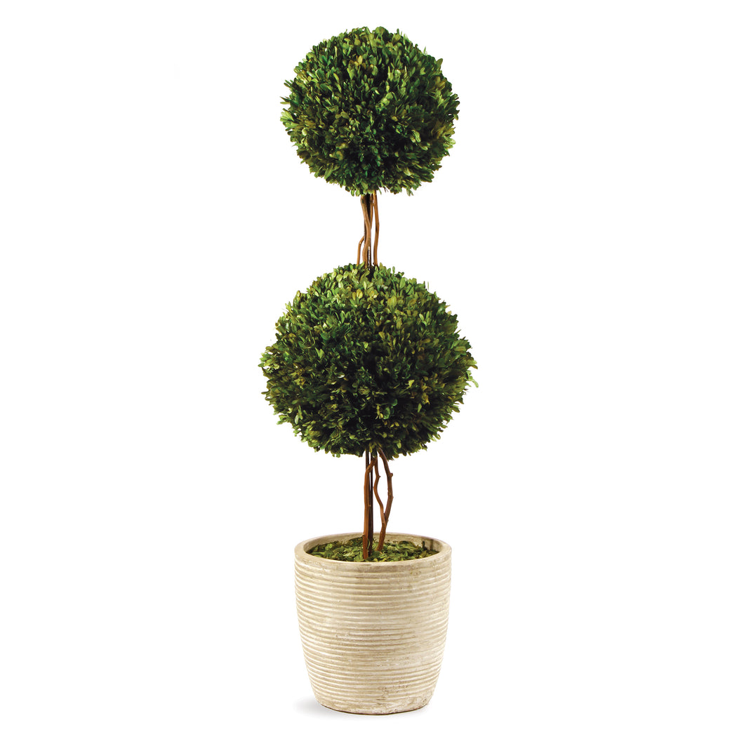 Boxwood Double Sphere Topiary 28