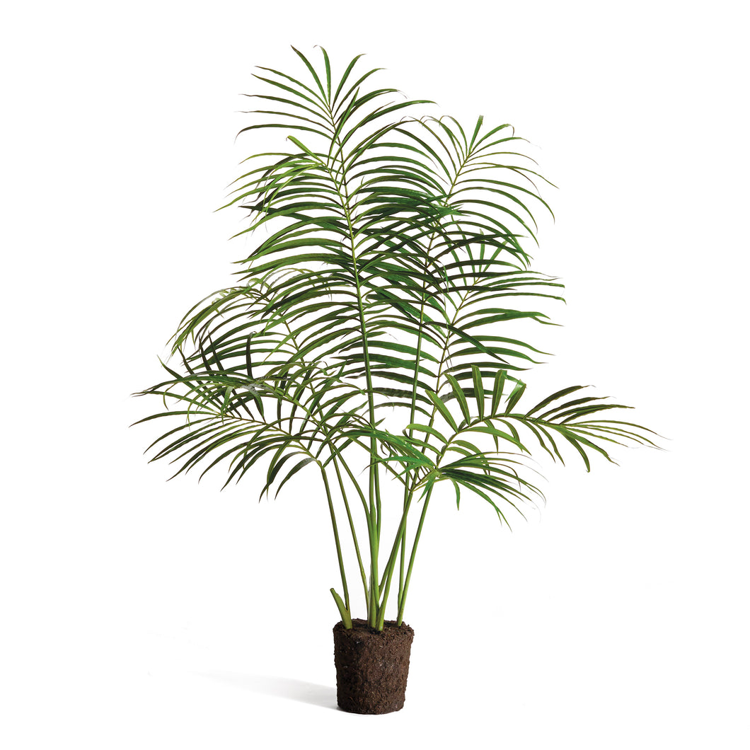 Palm Tree Drop-In 50