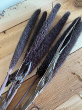 Load image into Gallery viewer, Dried Purple Majesty Millet
