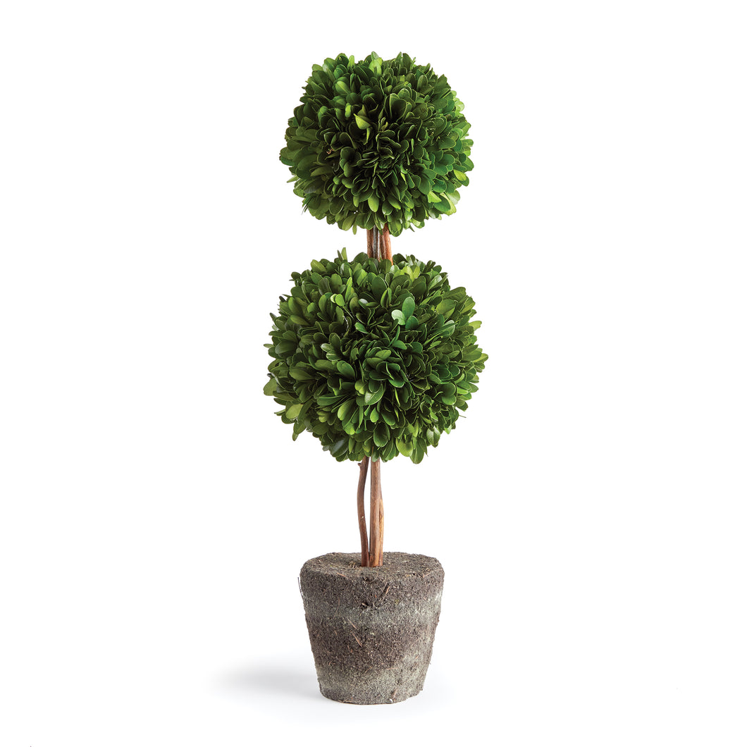 Boxwood Double Sphere Topiary Drop-In 20