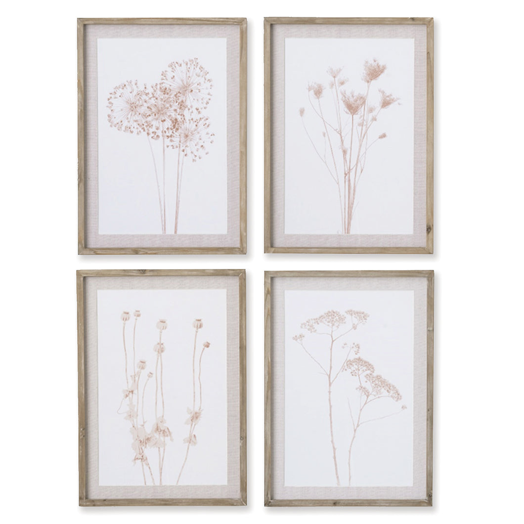 Stylized Botanical Prints, Set Of 4