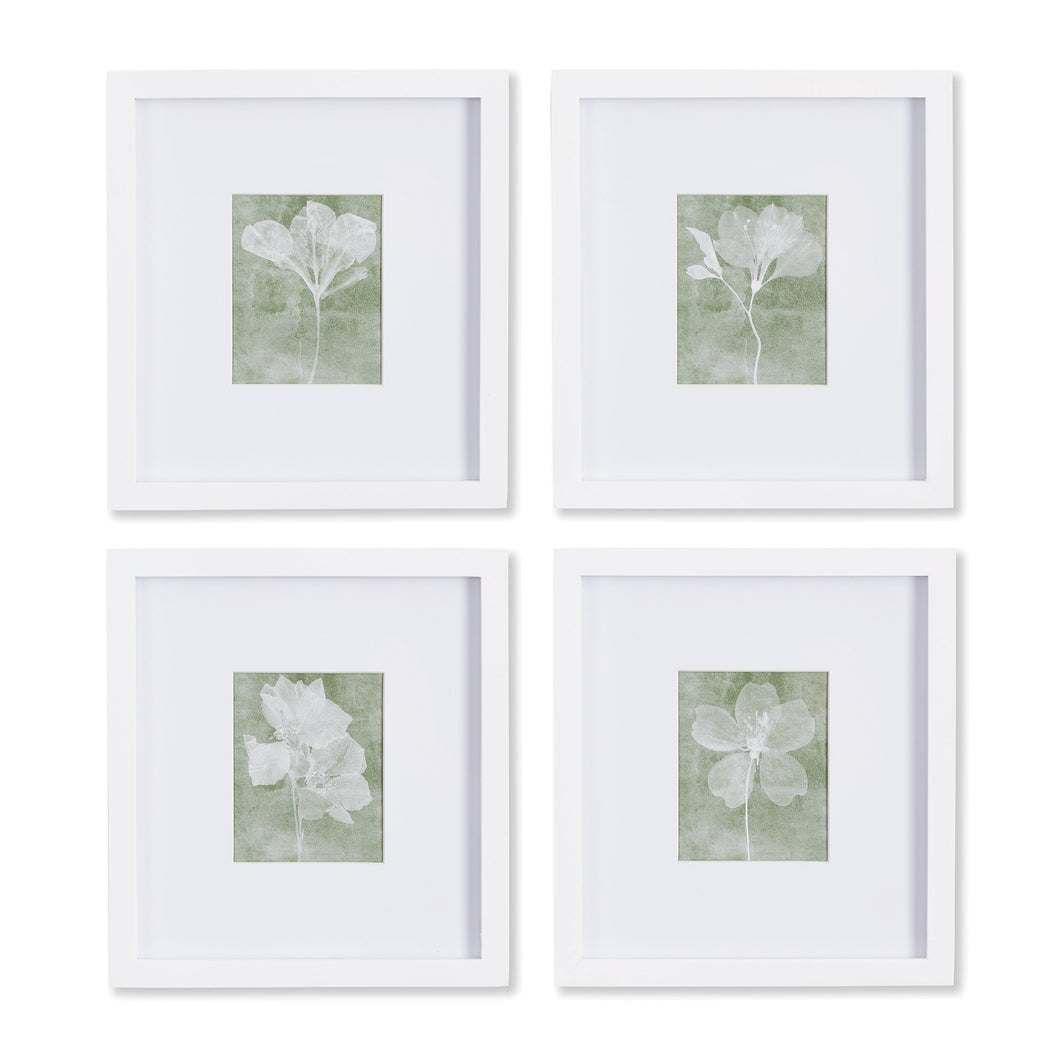 Translucent Floral Petite Prints, Set Of 4