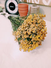 Load image into Gallery viewer, Dried tansy bundle
