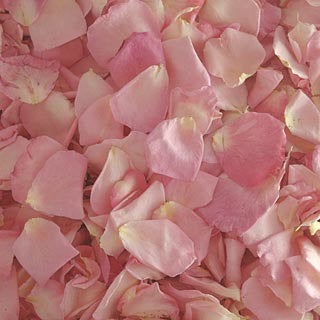 30 cups of beautiful freeze dried rose petals