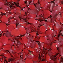 Load image into Gallery viewer, 30 cups of beautiful freeze dried rose petals
