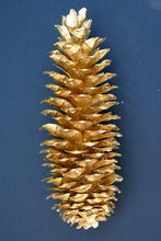 Load image into Gallery viewer, Sugar Pine Cones Natural or Colored in Gold Leaf , Silver Leaf , White tipped or Varnish up 14&quot;
