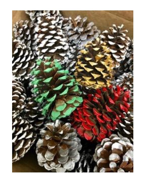 Holiday pinecones assortment tipped in gold silver white red and green