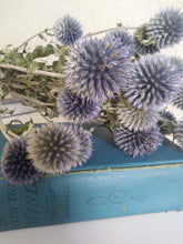 Load image into Gallery viewer, Dried Echinops bundle in pale blue grey pre order for August

