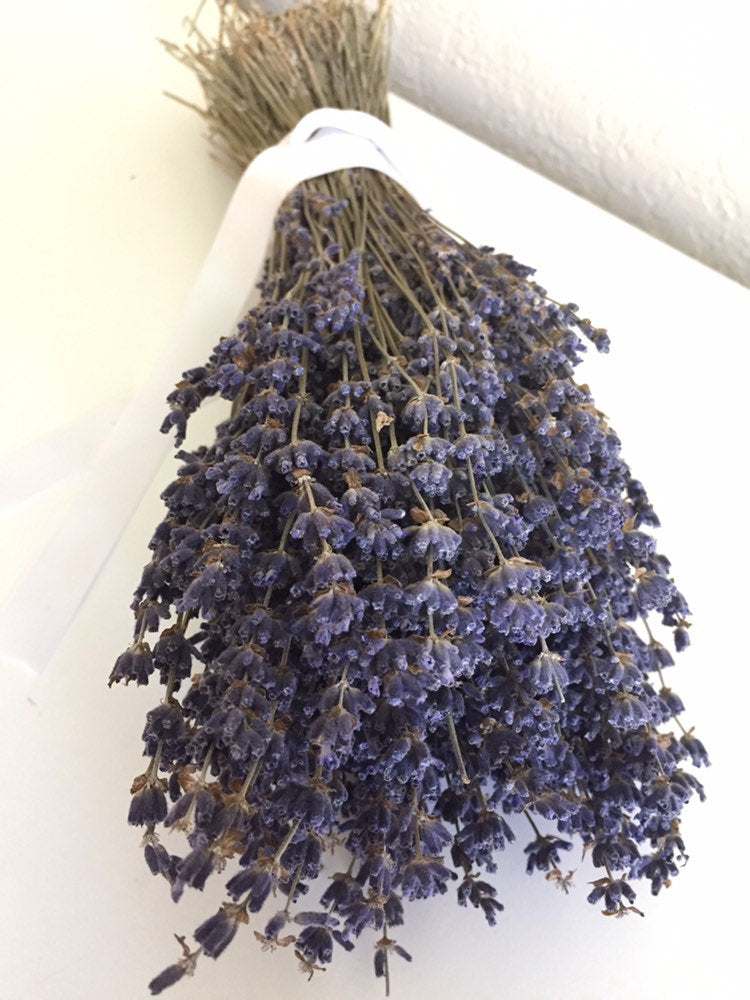 2 Dried English lavender bundles Autumn Decor