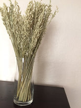 Load image into Gallery viewer, 3 bundles of dried Aveena (oats) perfect for fall---fall decor- dried flowers-dried herbs

