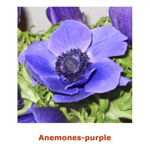 Load image into Gallery viewer, Fresh Anemones! Gorgeous colors!
